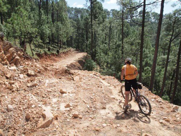 קאוסאני Uttarakhand Resort מראה חיצוני תמונה