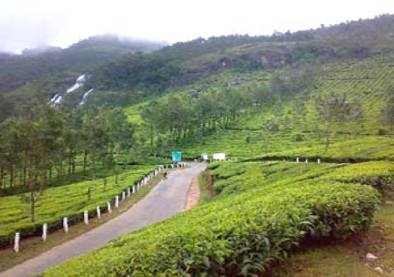 קאוסאני Uttarakhand Resort מראה חיצוני תמונה