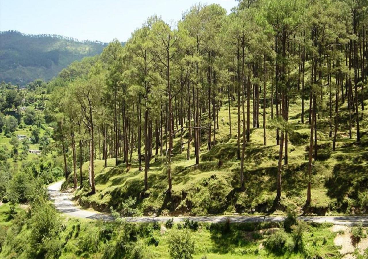 קאוסאני Uttarakhand Resort מראה חיצוני תמונה